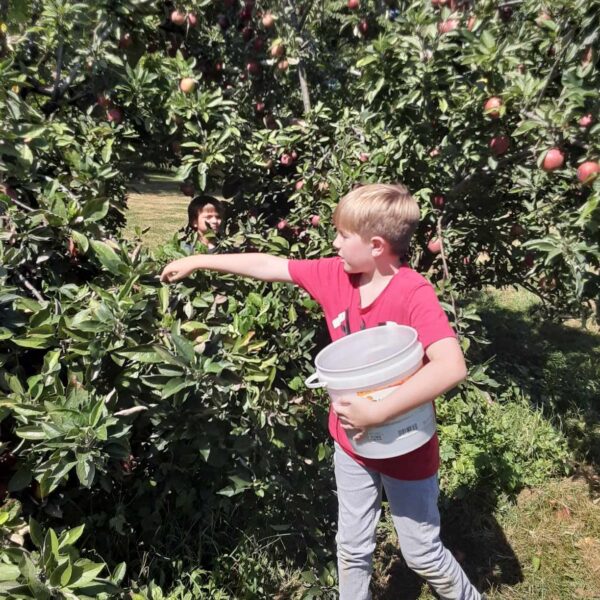 Apple Hill Orchard Vincennes/Knox County VTB