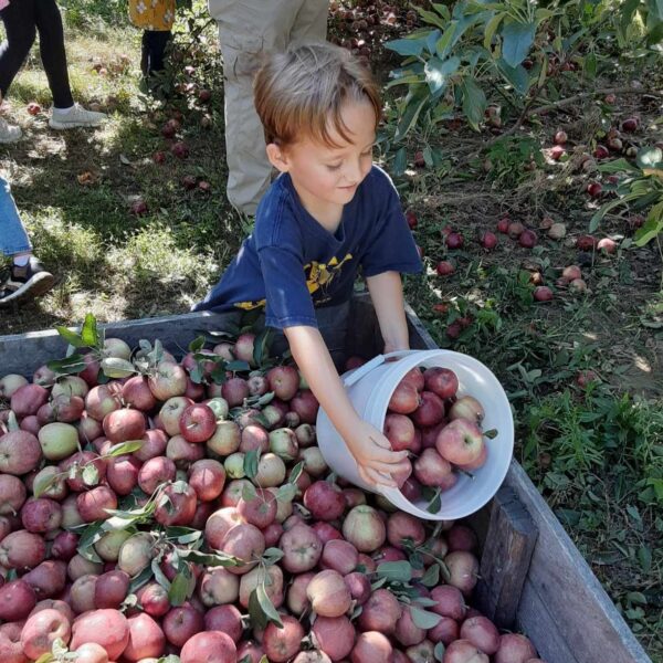 Apple Hill Orchard Vincennes/Knox County VTB