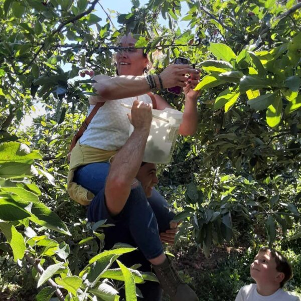 Apple Hill Orchard Vincennes/Knox County VTB