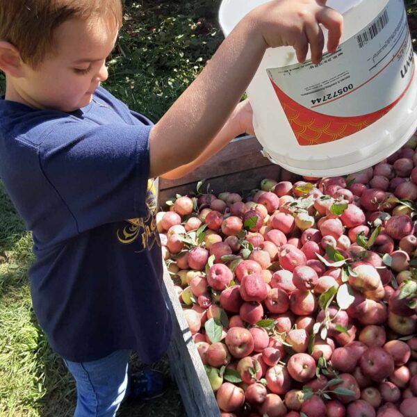 Apple Hill Orchard Vincennes/Knox County VTB