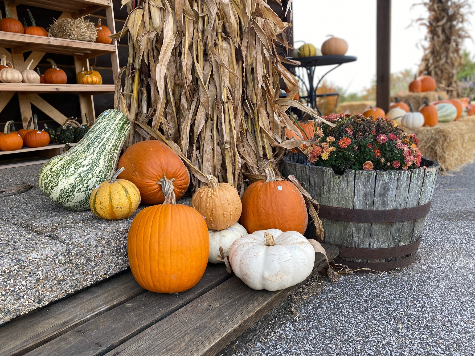 Where to Buy Fall Décor Locally in Vincennes/Knox County - Vincennes ...