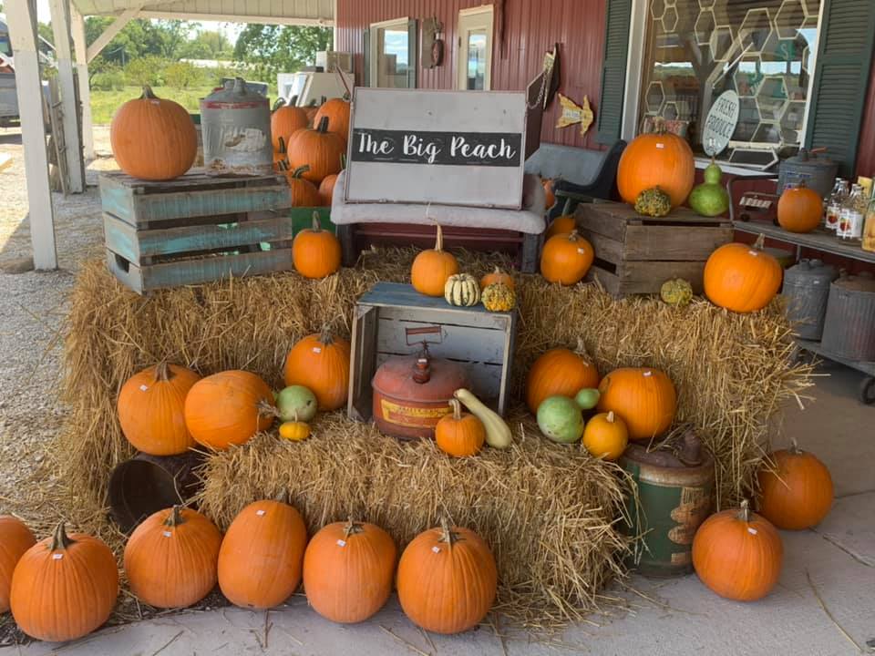 Where to Buy Fall Décor Locally in Vincennes/Knox County - Vincennes ...