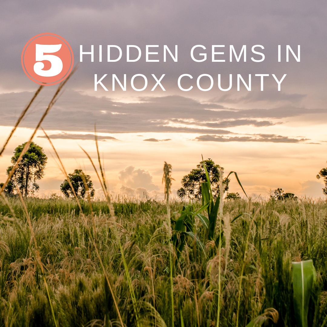 5 Hidden Gems in Knox County Vincennes/Knox County VTB